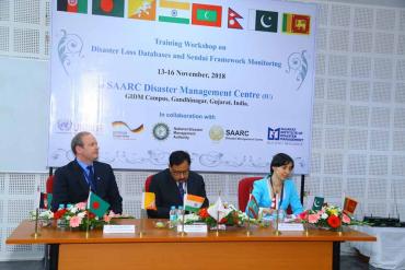 Disaster Loss Databases and Sendai Framework Monitoring 